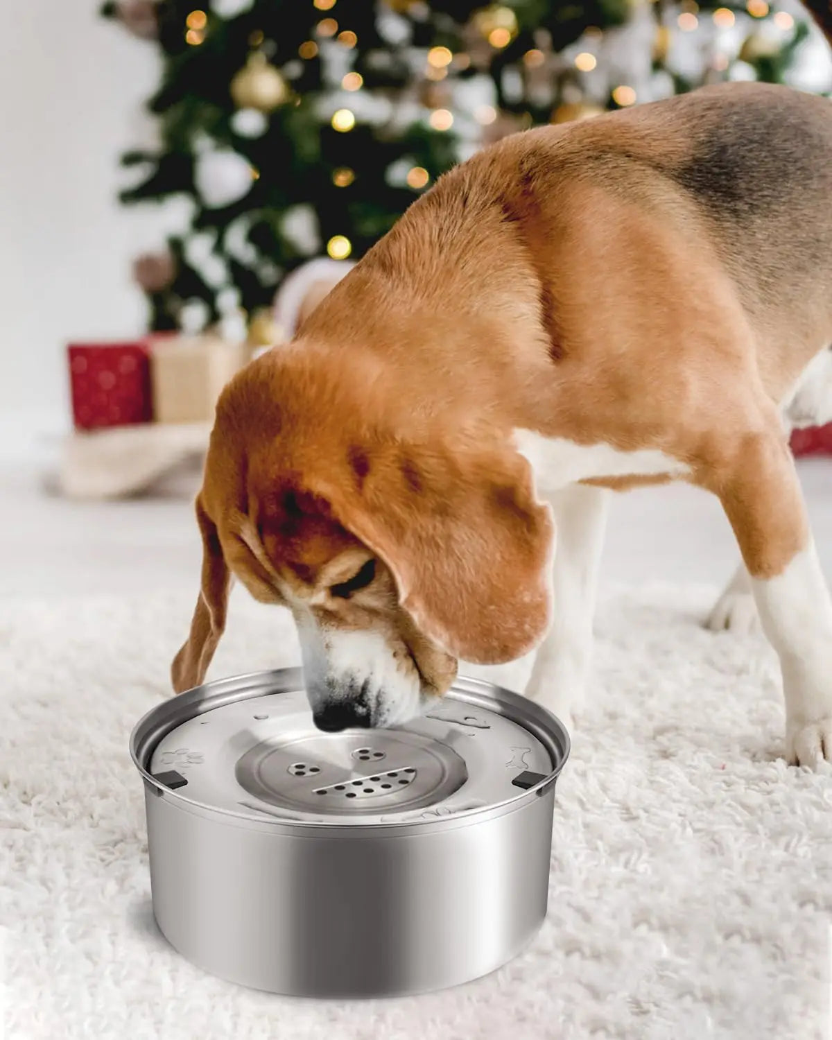 Aqua-Still 3L – Stainless Steel No-Spill Slow Water Feeder