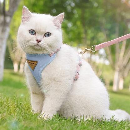 AirMesh Comfort Pet Harness & Leash Adventure Set