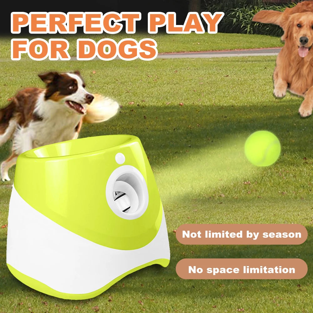 Mini-Slam Interactive Ball Launcher – Desktop Pinball Catapult for Pets