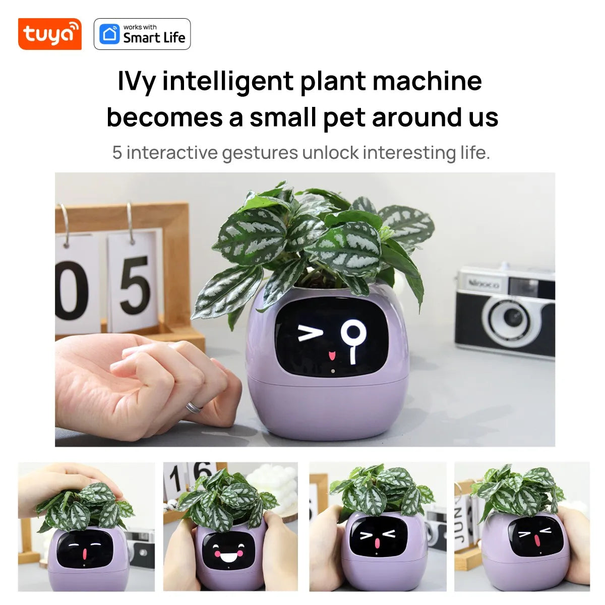 Ivy Smart Planter,Endless Fun Over 49 Rich Expressions,7 smart sensors,AI Chips Make Raising Plants Easy and Fun
