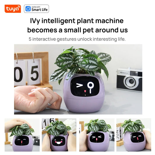 Ivy Smart Planter,Endless Fun Over 49 Rich Expressions,7 smart sensors,AI Chips Make Raising Plants Easy and Fun