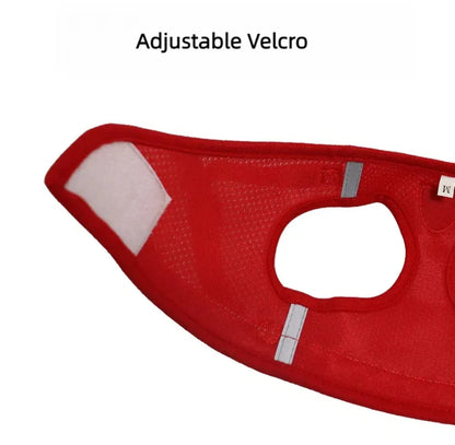Reflective Escape-Proof Cat & Puppy Harness Set – Soft Mesh Vest
