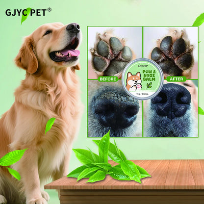 Pet Paw Balm – Soothing Green Tea Relief