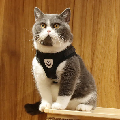 Reflective Escape-Proof Cat & Puppy Harness Set – Soft Mesh Vest