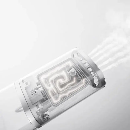 Iron Home Electric Steam