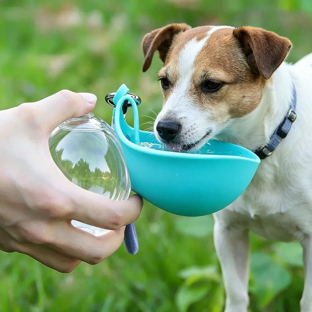 2-in-1 Portable Foldable Dog Water Bottle