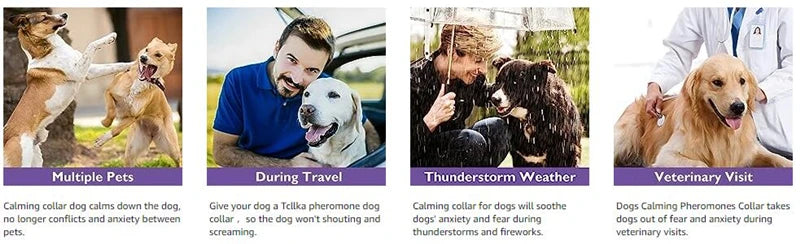 Calm-Core Pheromone Collars – 3/4 Piece Anxiety Relief Multi-Pack