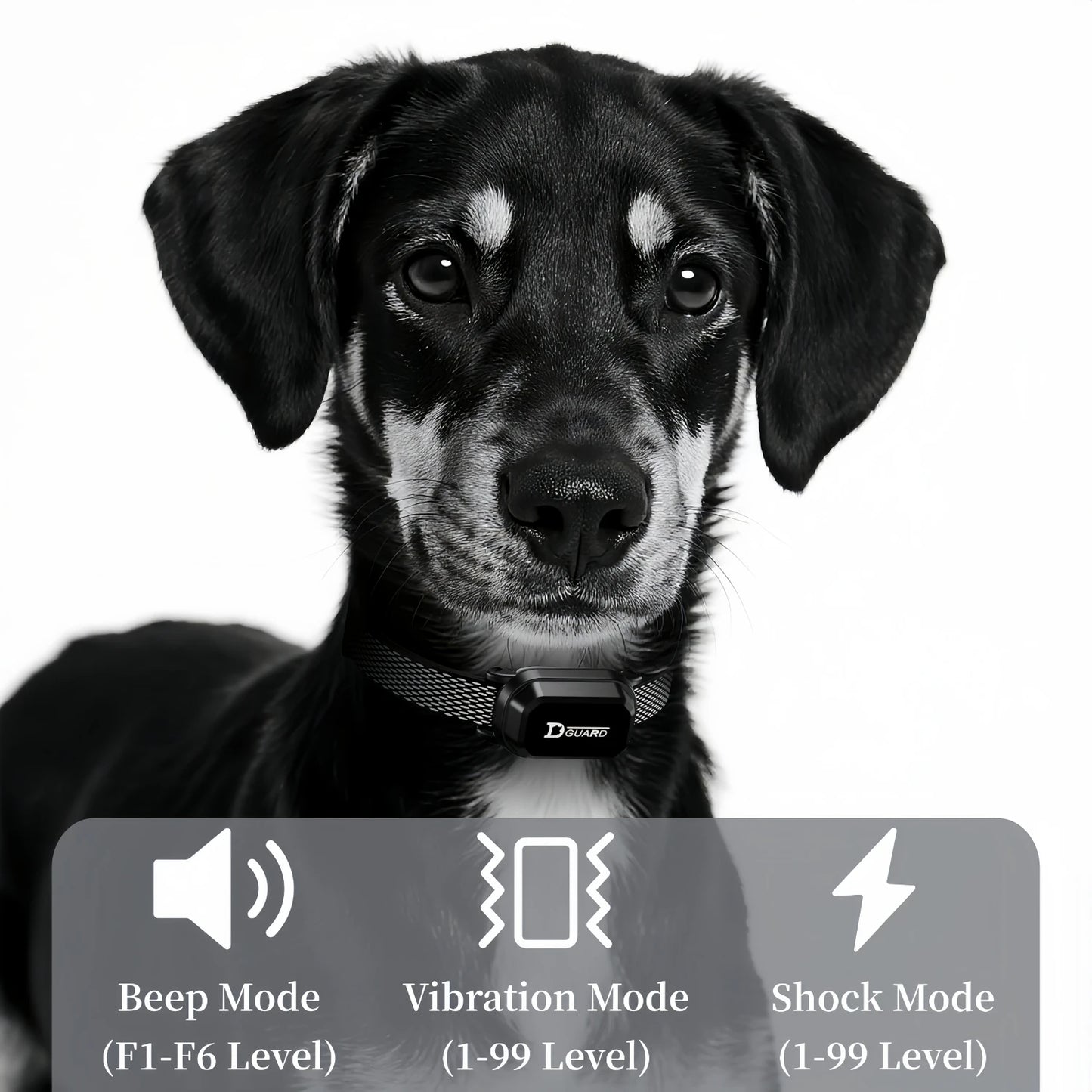 Pro-Train 3300ft Automatic Anti-Bark & Remote Training Collar