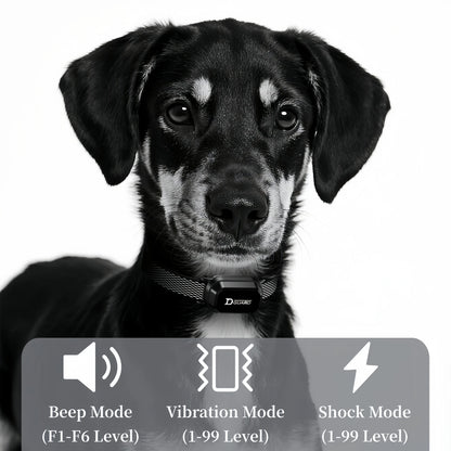 Pro-Train 3300ft Automatic Anti-Bark & Remote Training Collar