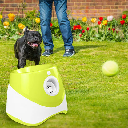 Mini-Slam Interactive Ball Launcher – Desktop Pinball Catapult for Pets