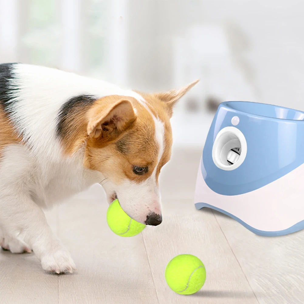 Mini-Slam Interactive Ball Launcher – Desktop Pinball Catapult for Pets