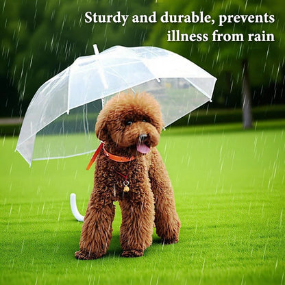 Transparent Dog Umbrella Leash