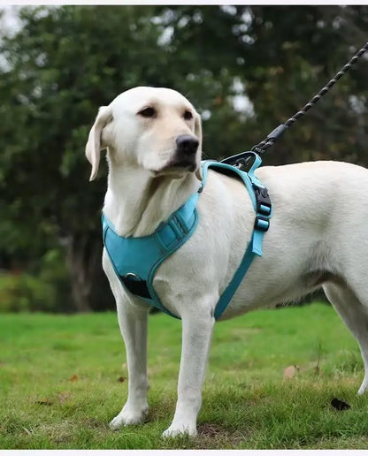 Track Guard Dog Harness
