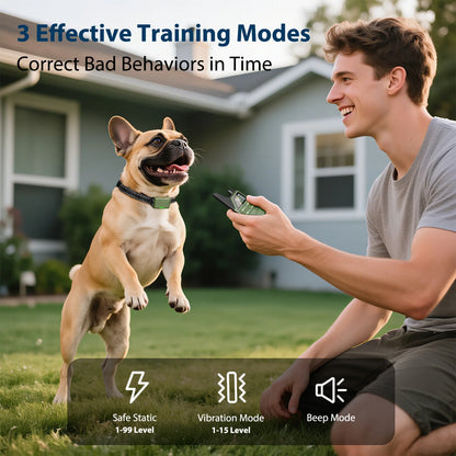 Electric Dog Training Collar 300M Remote Control Pet