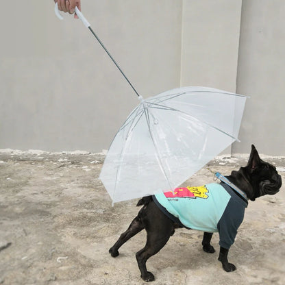 Transparent Dog Umbrella Leash