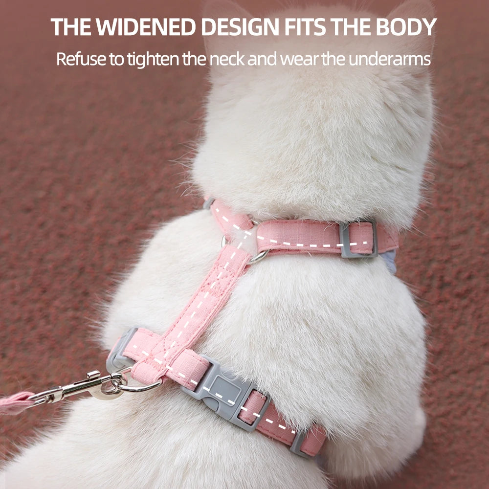 AirMesh Comfort Pet Harness & Leash Adventure Set