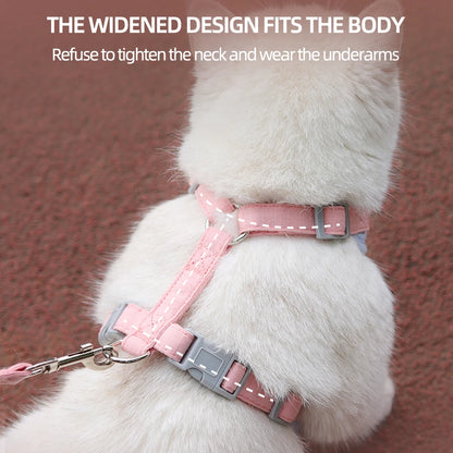AirMesh Comfort Pet Harness & Leash Adventure Set