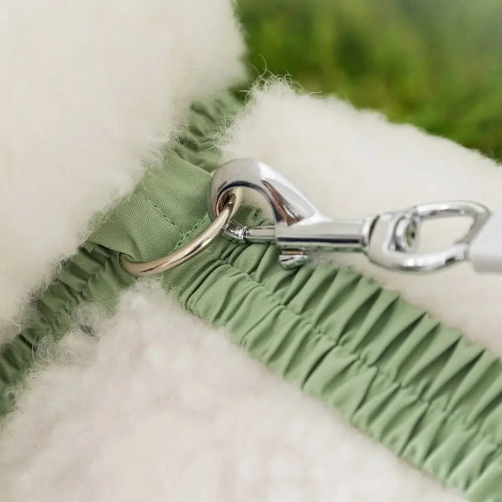 Pet Strolling Going Out Dust-proof Four Legged Pants Dog Boot Waterproof Leggings Dog Jumpsuit Shoes