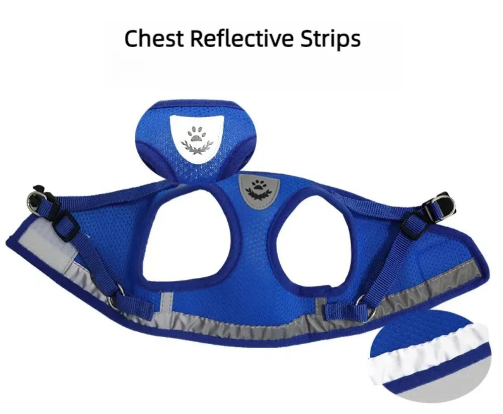 Reflective Escape-Proof Cat & Puppy Harness Set – Soft Mesh Vest