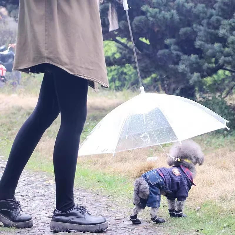 Transparent Dog Umbrella Leash