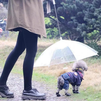 Transparent Dog Umbrella Leash