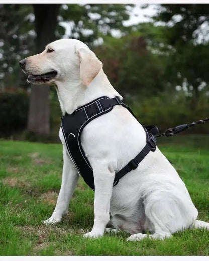 Track Guard Dog Harness