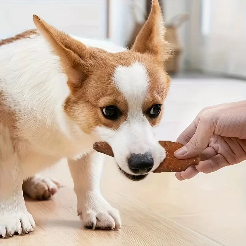 Pet Dog Snacks Delicious Beef Jerky