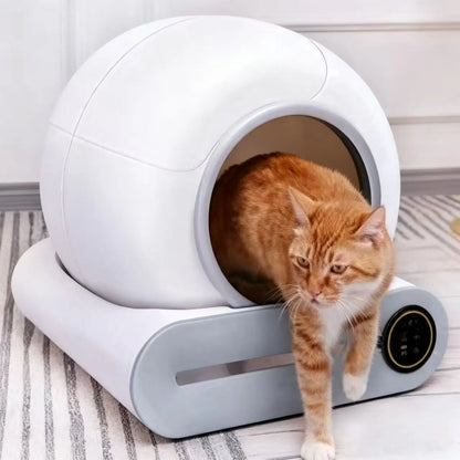 Smart App-Controlled Self-Cleaning Litter Box – Open-Top & Odor-Free