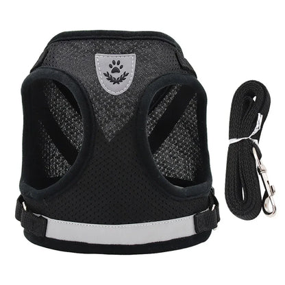 Reflective Escape-Proof Cat & Puppy Harness Set – Soft Mesh Vest