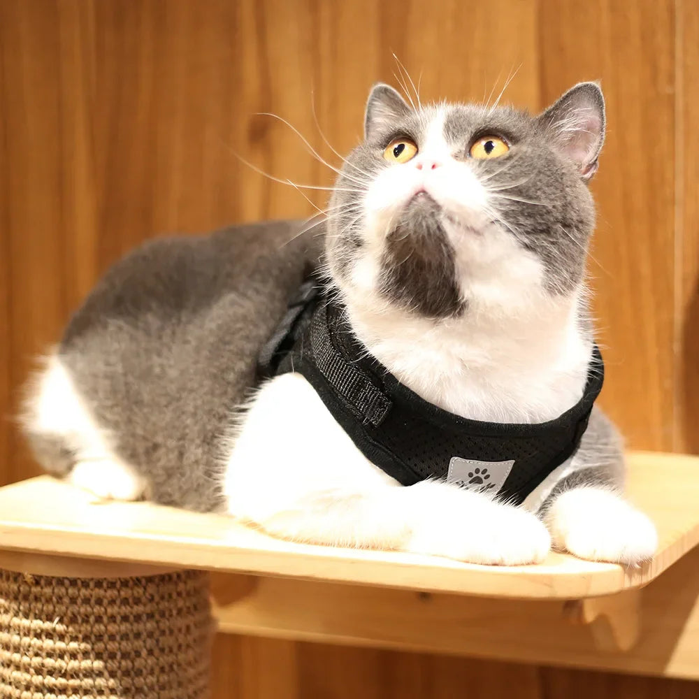 Reflective Escape-Proof Cat & Puppy Harness Set – Soft Mesh Vest