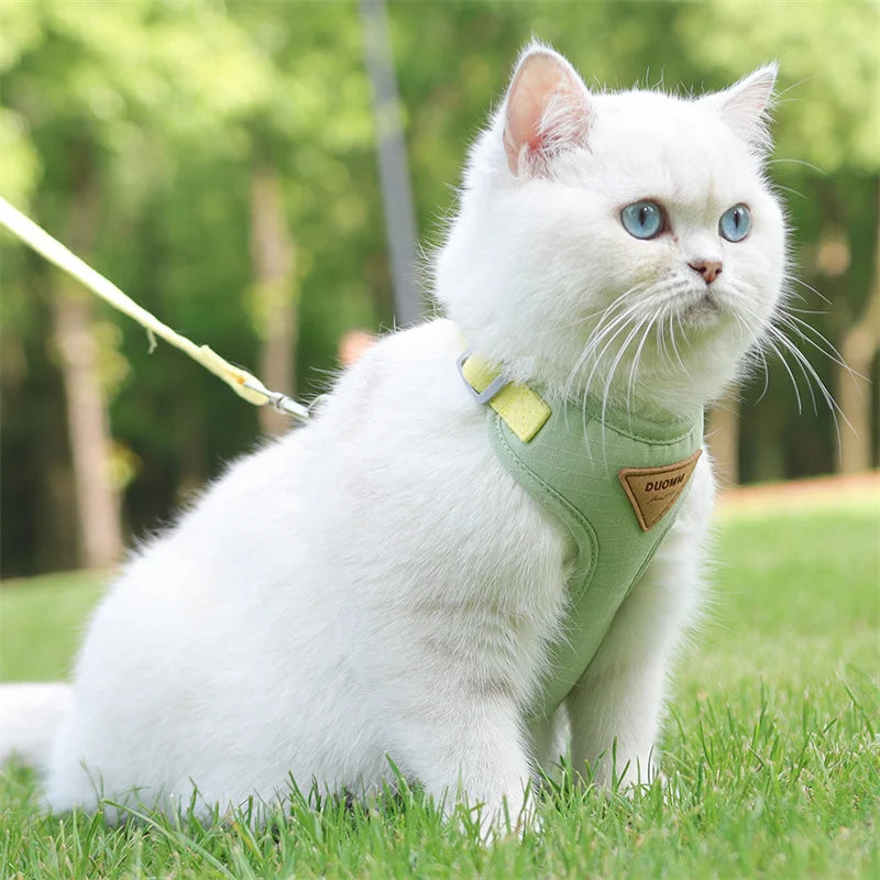 AirMesh Comfort Pet Harness & Leash Adventure Set