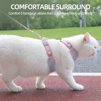 AirMesh Comfort Pet Harness & Leash Adventure Set