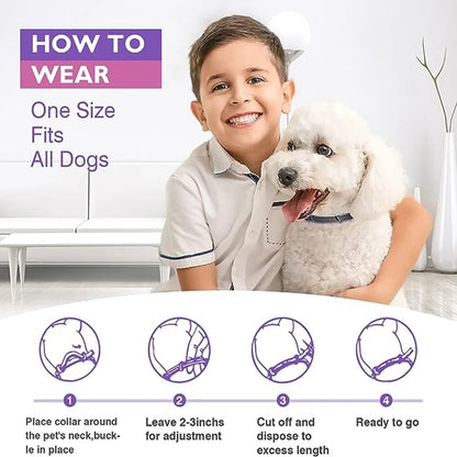 Calm-Core Pheromone Collars – 3/4 Piece Anxiety Relief Multi-Pack