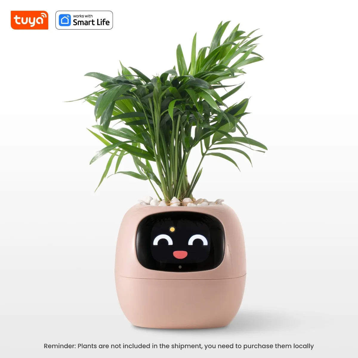 Ivy Smart Planter,Endless Fun Over 49 Rich Expressions,7 smart sensors,AI Chips Make Raising Plants Easy and Fun