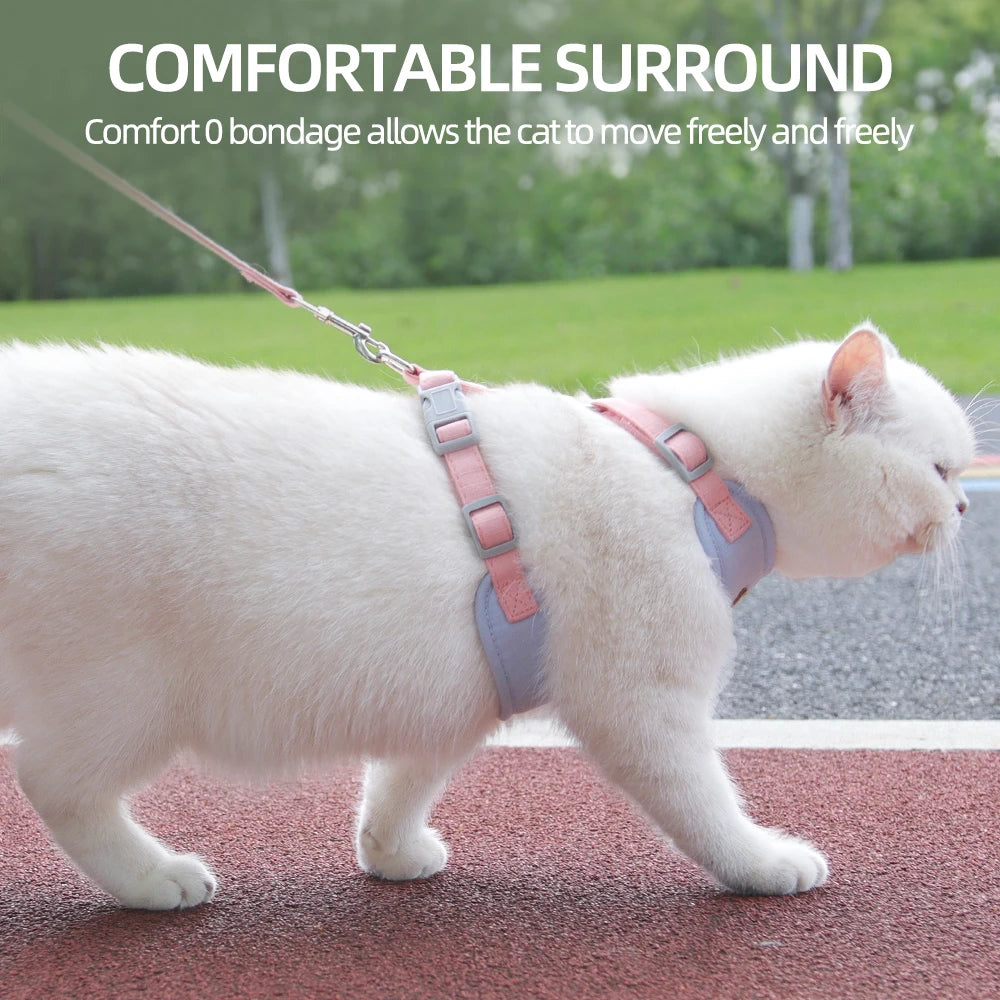AirMesh Comfort Pet Harness & Leash Adventure Set