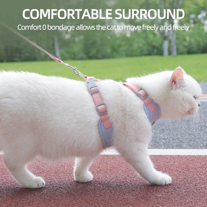 AirMesh Comfort Pet Harness & Leash Adventure Set