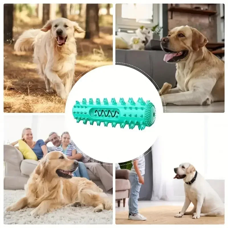 Dental Chew Stick - 3-in-1 Cooling Toothbrush Toy