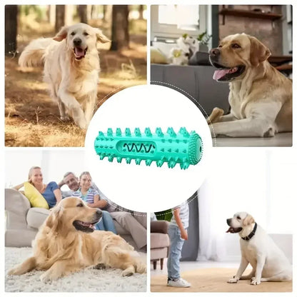 Dental Chew Stick - 3-in-1 Cooling Toothbrush Toy