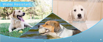 Calm-Core Pheromone Collars – 3/4 Piece Anxiety Relief Multi-Pack
