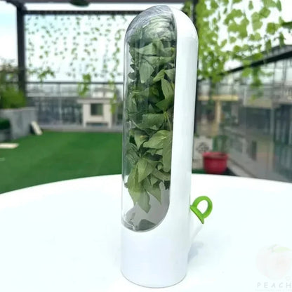 Cross-border Vanilla Vegetable Fresh