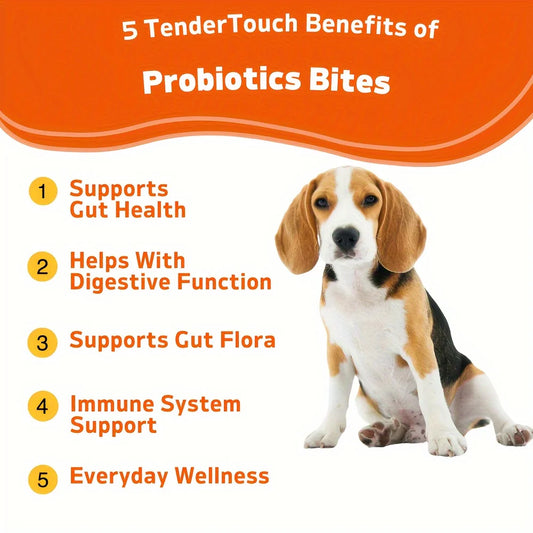 TenderTouch Probiotics – 120 Count Soft Chews for Digestive Support