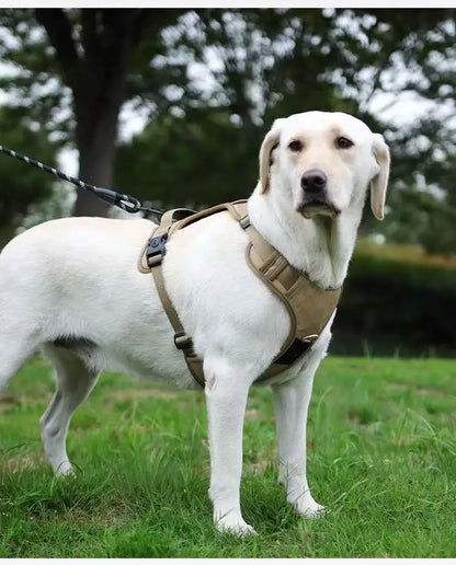 Track Guard Dog Harness