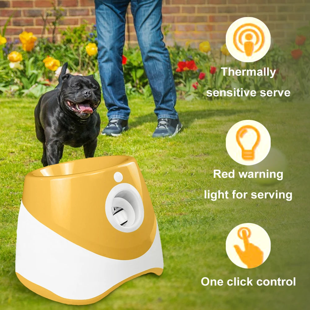 Mini-Slam Interactive Ball Launcher – Desktop Pinball Catapult for Pets