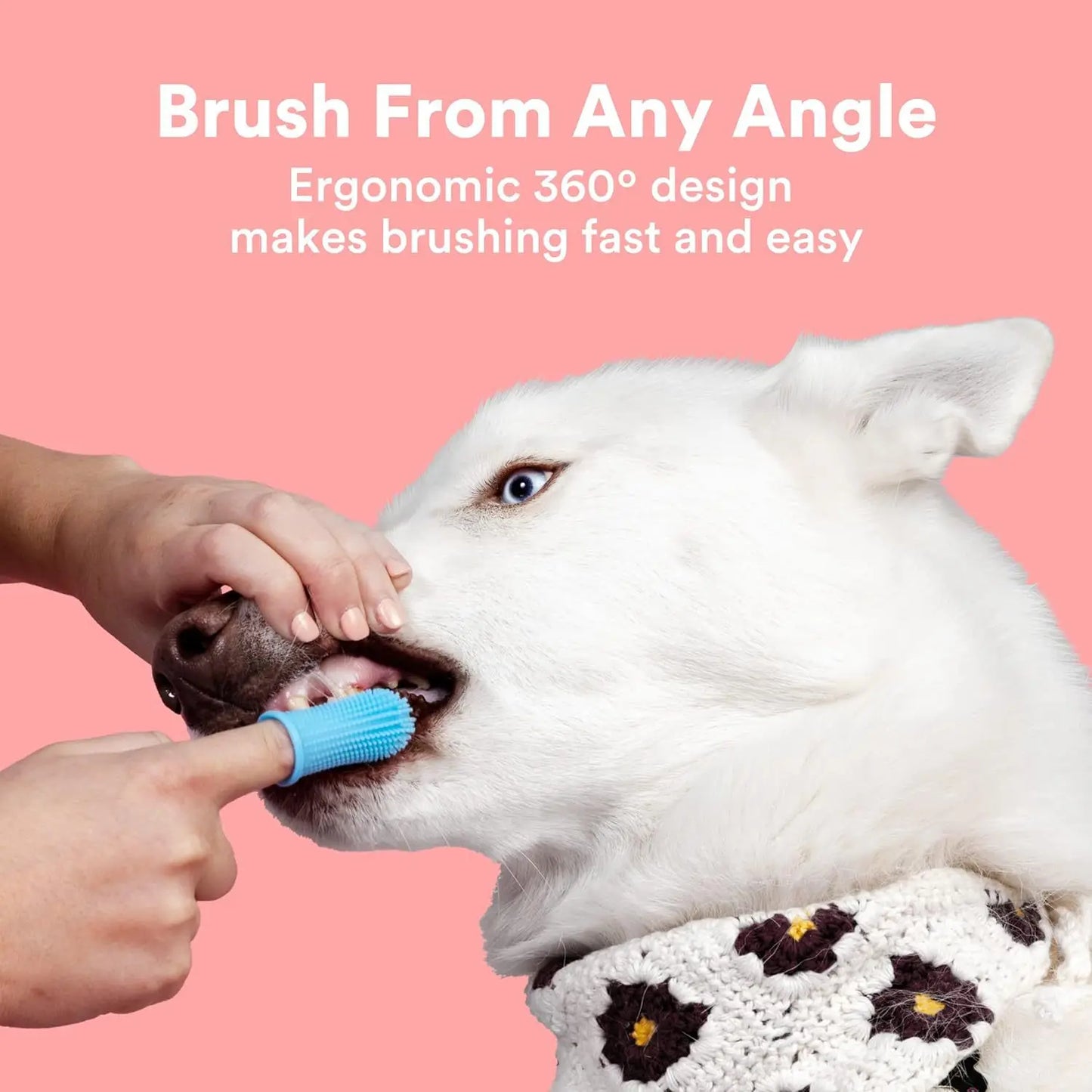 Dental Pro 3-Piece Fingertip Set – Precision Pet Toothbrushes